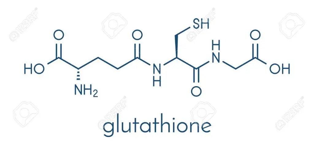 Glutathione"